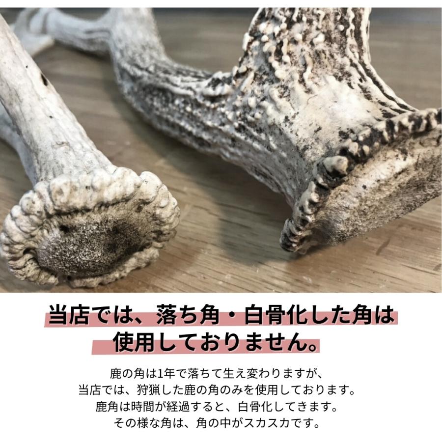 北海道産 鹿角 お試し 1本 犬 おもちゃ 犬用品 犬用 ペットグッズ