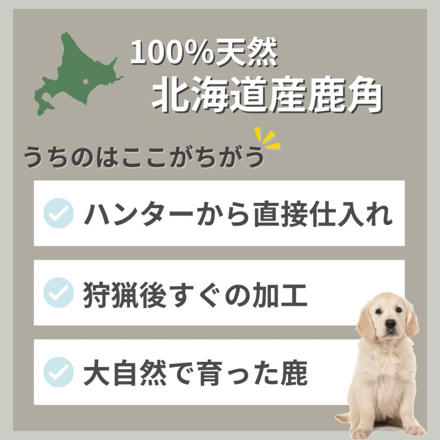 蝦夷鹿の角 北海道 インテリア 置物 犬 ペット おもちゃ １２本 １２キロ以上 安心・安全の国産 北海道のエゾ鹿の角【20cm 大型犬】鹿の角 犬