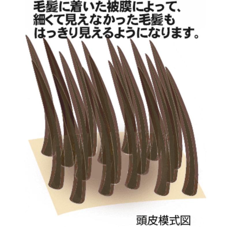 育毛剤 発毛促進剤 ドライドライド クイックインパクト120mL 薄毛 AGA