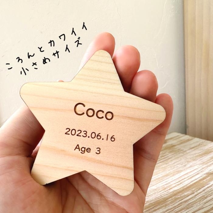 Memorial Wood 一番星　木製ペット位牌 犬 猫 うさぎ ハムスター ハリネズミ 名入れ ナチュラル モダン インテリア コンパクト 記念 モダン仏具 天然木 |  | 03