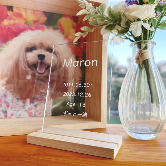 アクリル位牌 アクリル・国産紀州熊野檜使用 コンパクト インテリアに