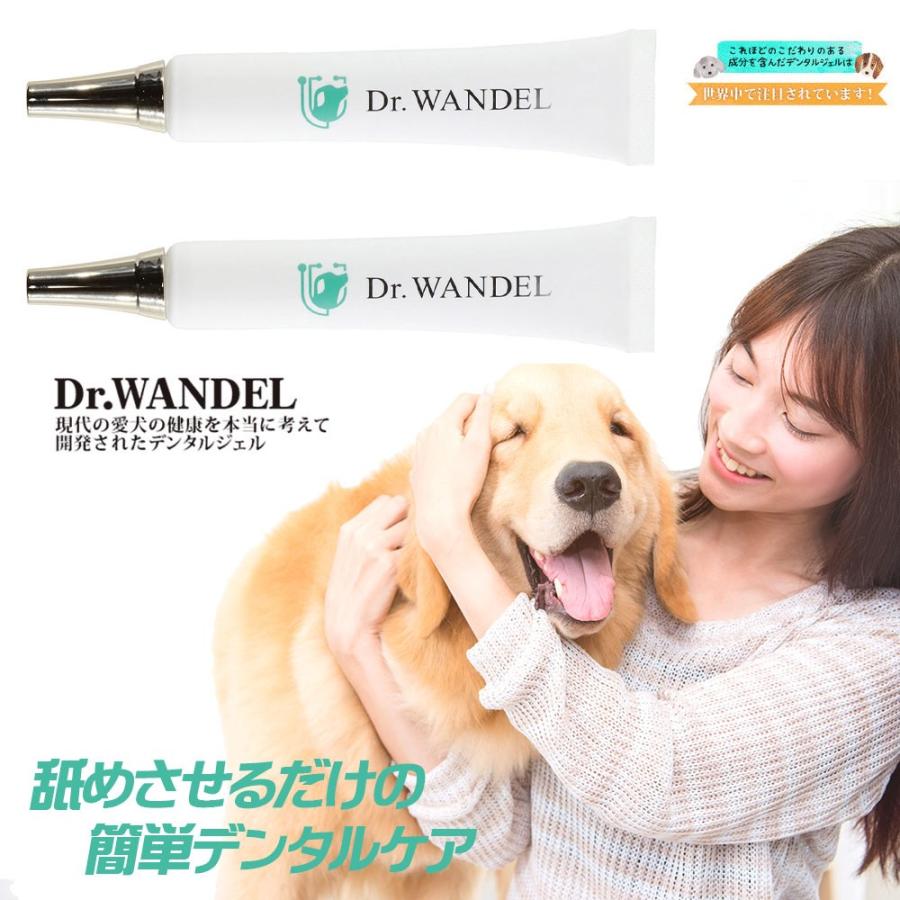 正規品 Dr.wandel ドクターワンデル 30g(1ヶ月分) 【2個セット】リボーテ(re:beaute)公式ストア デンタルケアケアジェル  気になる口臭 歯磨き :wandel02:ドクターワンワンデル公式ストア - 通販 - Yahoo!ショッピング