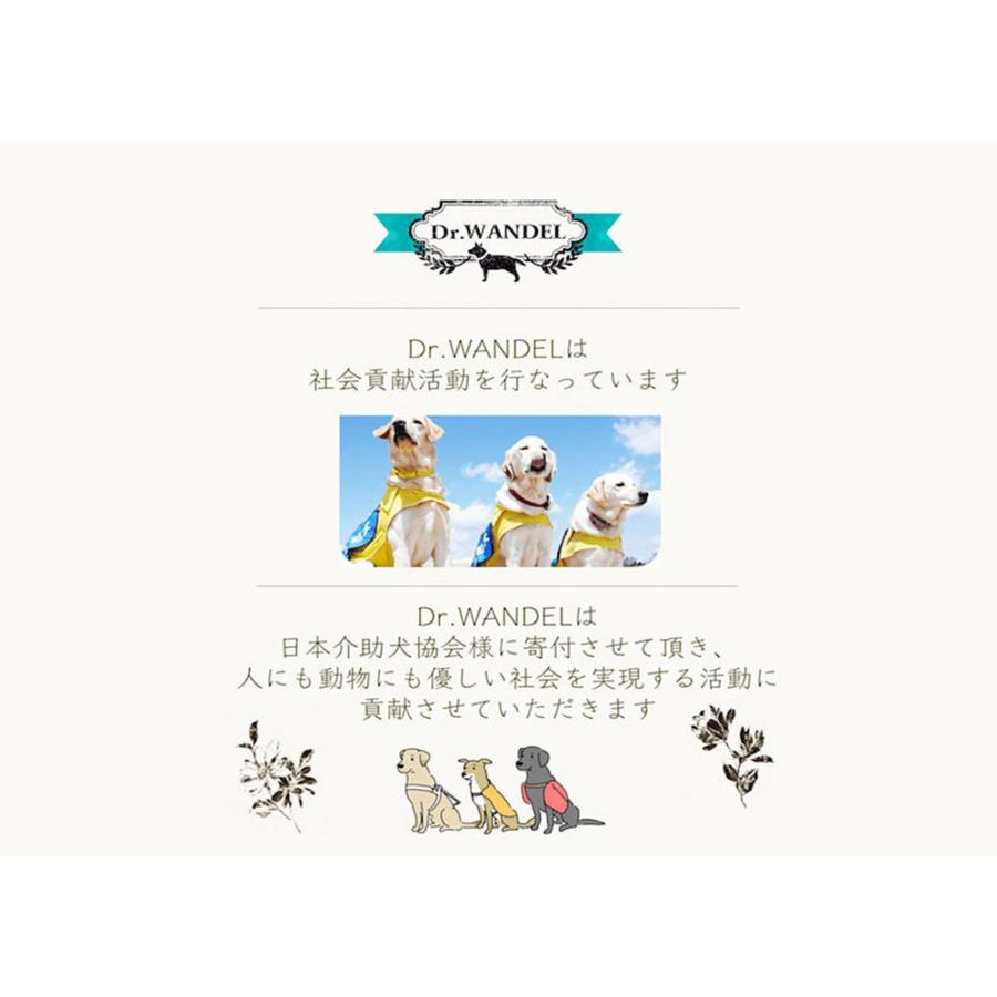 正規品 Dr.wandel ドクターワンデル 30g ( 1ヶ月分 ) 愛犬の歯周 正規品 Dr.wandel ドクターワンデル 30g ( 1ヶ月分 ) 愛犬の歯周