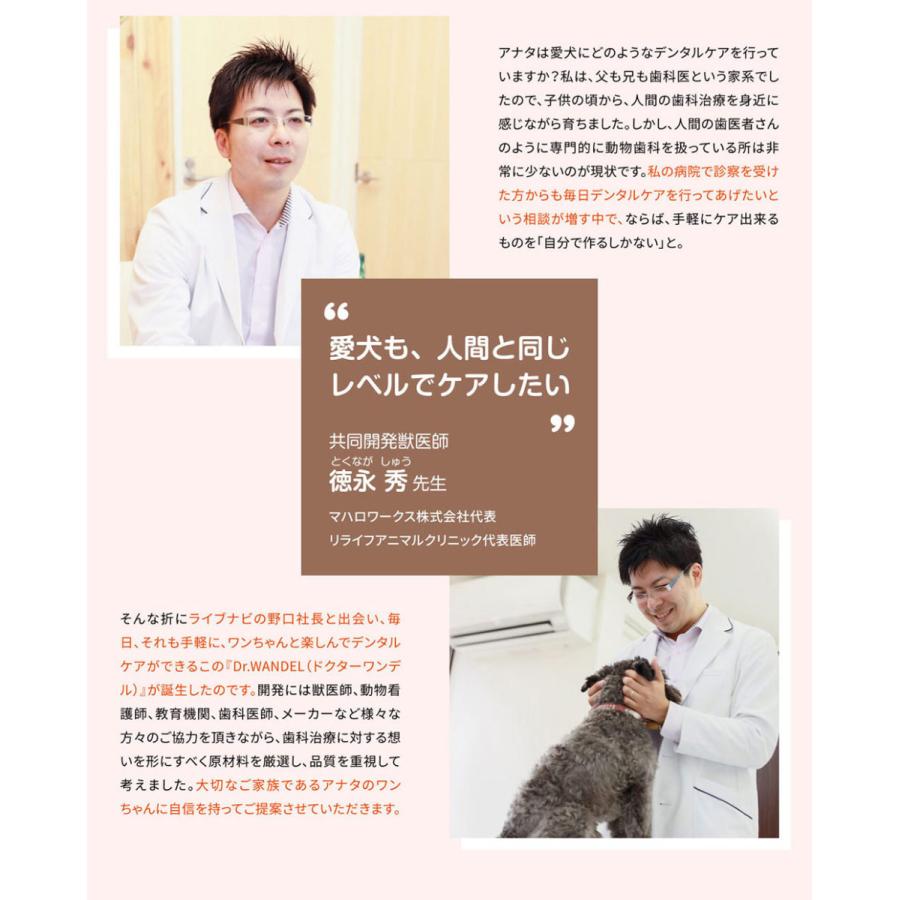 正規品 Dr.wandel ドクターワンデル 30g ( 1ヶ月分 )  愛犬の歯周病予防 犬用デンタルケアジェル デンタルケアケアジェル 気になる口臭 歯磨き 歯周病対策｜rebeaute0223｜03