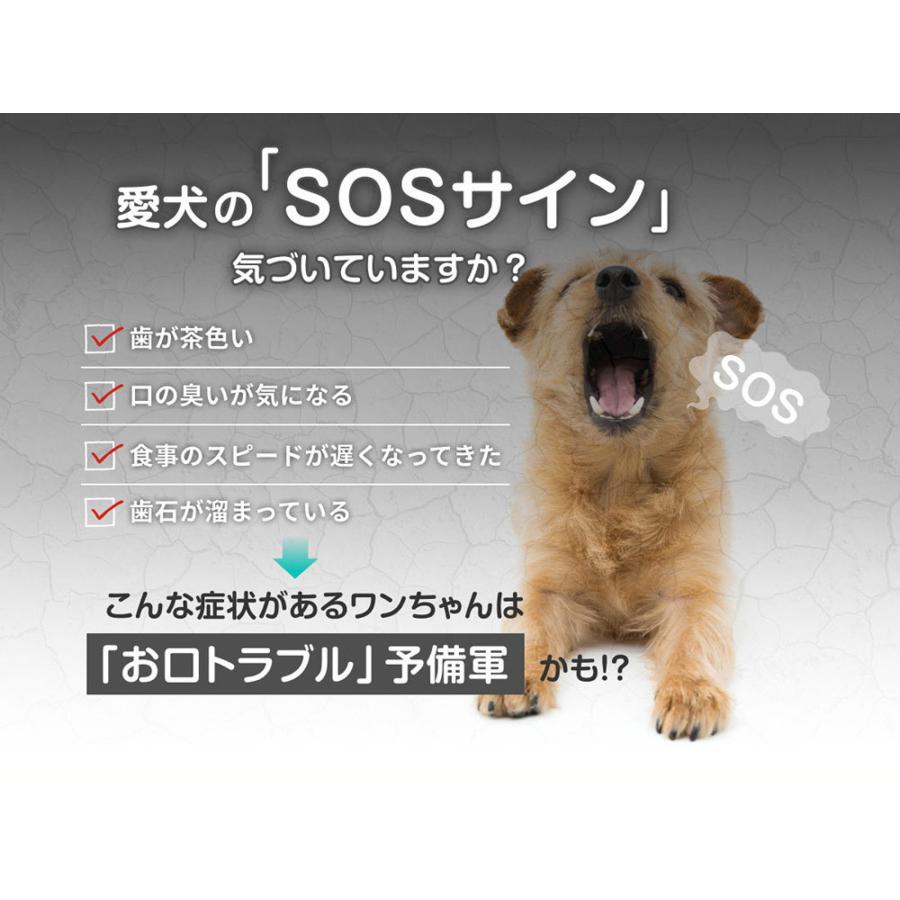 正規品 Dr.wandel ドクターワンデル 30g ( 1ヶ月分 )  愛犬の歯周病予防 犬用デンタルケアジェル デンタルケアケアジェル 気になる口臭 歯磨き 歯周病対策｜rebeaute0223｜08