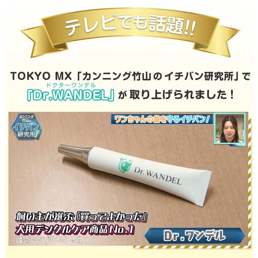 正規品 Dr.wandel ドクターワンデル 30g ( 1ヶ月分 )  愛犬の歯周病予防 犬用デンタルケアジェル デンタルケアケアジェル 気になる口臭 歯磨き 歯周病対策｜rebeaute0223｜09