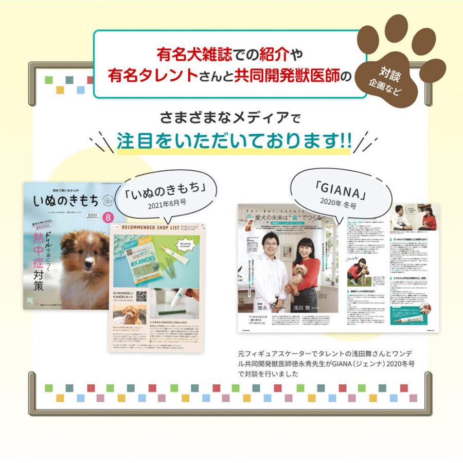 正規品 Dr.wandel ドクターワンデル 30g ( 1ヶ月分 )  愛犬の歯周病予防 犬用デンタルケアジェル デンタルケアケアジェル 気になる口臭 歯磨き 歯周病対策｜rebeaute0223｜10