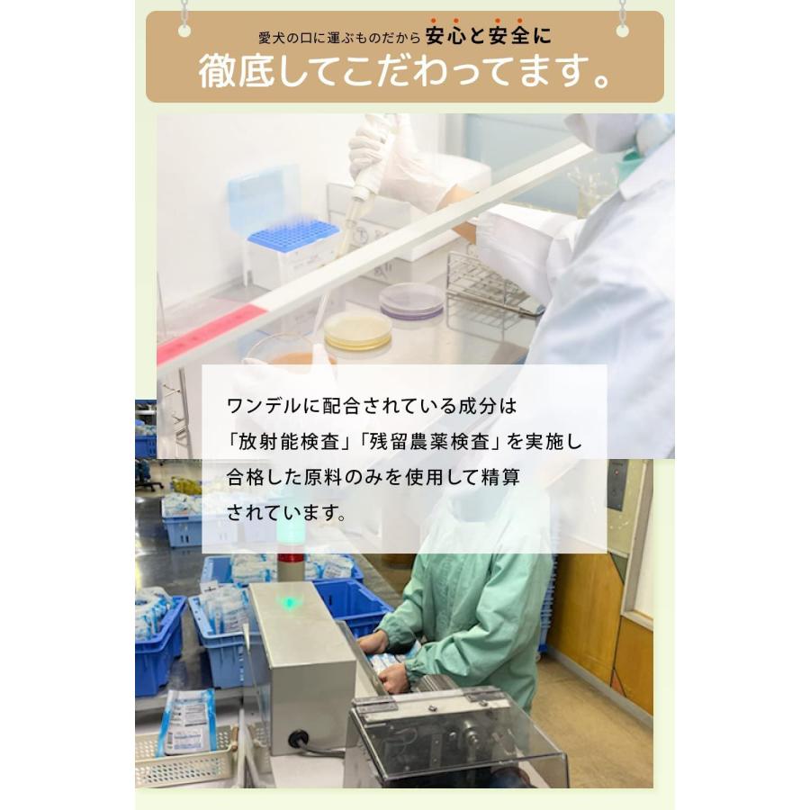 正規品 Dr.wandel plus ドクターワンデル プラス 30g 1ヶ月分 正規品 Dr.wandel plus ドクターワンデル プラス 30g 1ヶ月分
