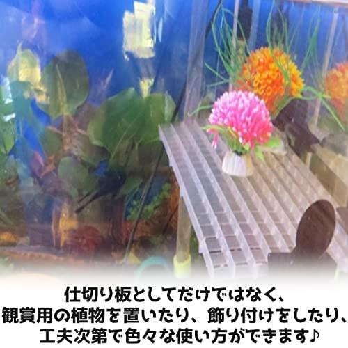 送料無料 水槽 仕切り 板 セパレーター キスゴム ホワイト10個セット フィルター 隔離板 熱帯魚 分割 アクアリウム 飼育 網 隔離 魚 稚魚 爬虫類 鑑賞 2780 Rebellious 通販 Yahoo ショッピング