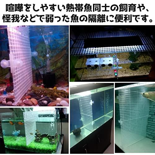 送料無料 水槽 仕切り 板 セパレーター キスゴム ホワイト10個セット フィルター 隔離板 熱帯魚 分割 アクアリウム 飼育 網 隔離 魚 稚魚 爬虫類 鑑賞 2780 Rebellious 通販 Yahoo ショッピング