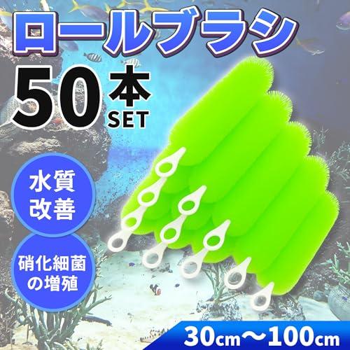 ロールフィルター 50本セット グリーン ロールブラシ ろ過 大型 水槽