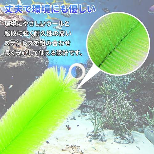 ロールフィルター 50本セット グリーン ロールブラシ ろ過 大型 水槽