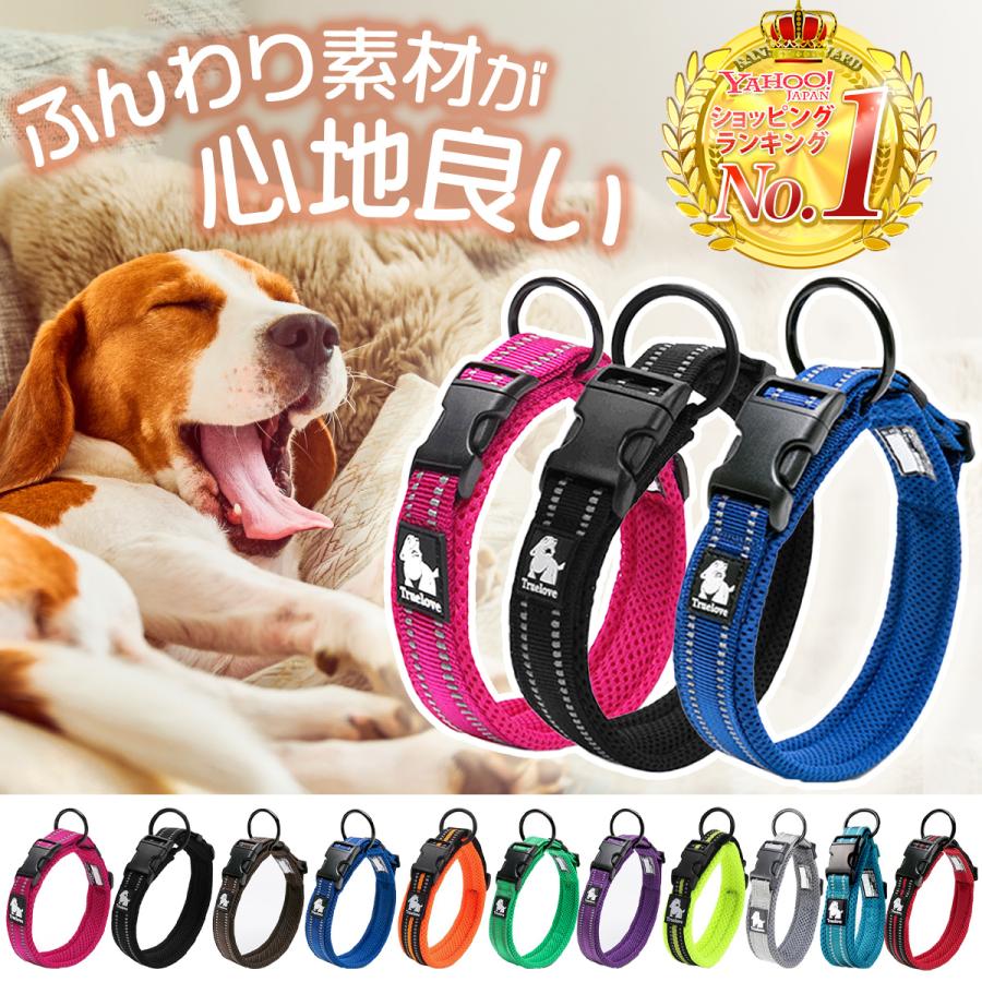 日本未発売 犬 首輪 小型犬 中型犬 大型犬 犬の首輪 おしゃれ バックル 軽い メッシュ生地 Aynaelda Com