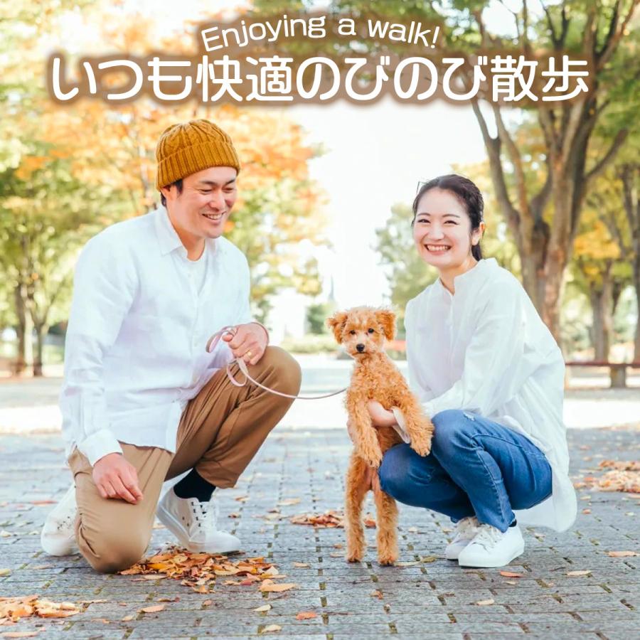 日本未発売 犬 首輪 小型犬 中型犬 大型犬 犬の首輪 おしゃれ バックル 軽い メッシュ生地 Aynaelda Com