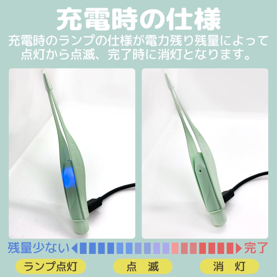 耳かき ライト 耳掃除 光る耳かき ピンセット ライト付き 子供