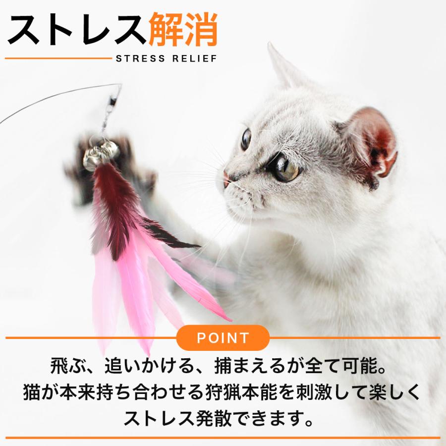 猫 おもちゃ ねこじゃらし 猫のおもちゃ 猫じゃらし ねずみ 猫用品 羽 竿とおもちゃ10点セット Nekojyarasi Reberiostore 通販 Yahoo ショッピング