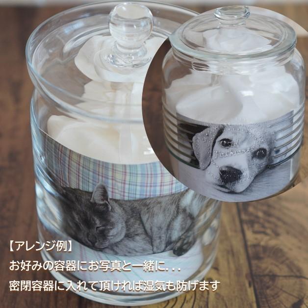 綿 納骨袋 骨袋 3寸 人間 赤ちゃん ペット かわいい おしゃれ 手作り 綿タイプ 0366C30 |  | 06