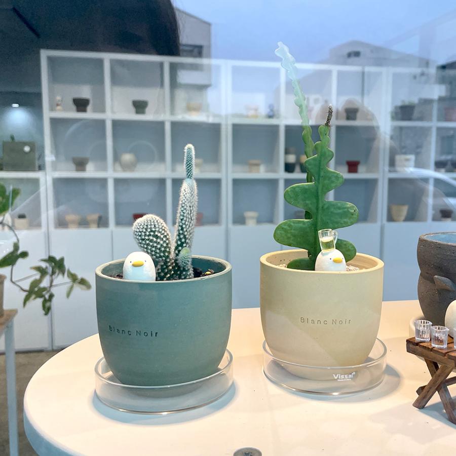 2DEN Blanc Noir プチカラフルポット 7カラー ブランノワール