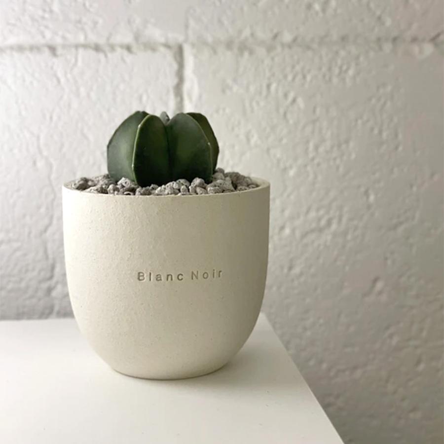 2DEN Blanc Noir プチカラフルポット 7カラー ブランノワール