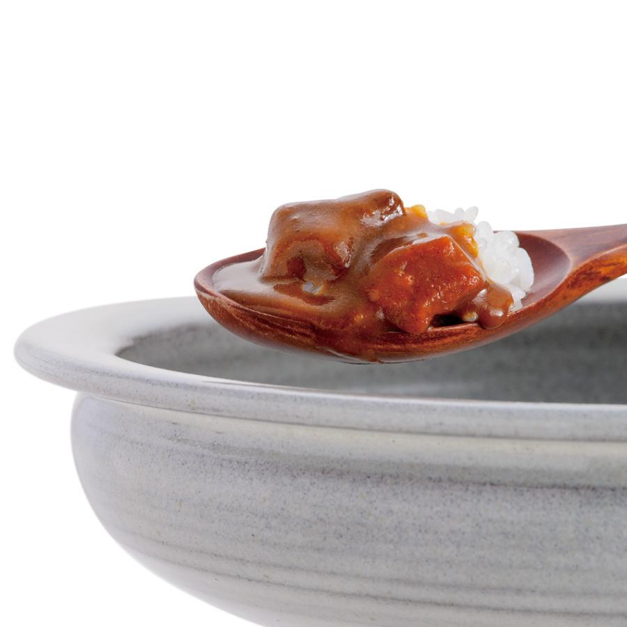 カレー皿 すくえるリムディッシュ 高取焼 高取焼き シチュー皿 20cm