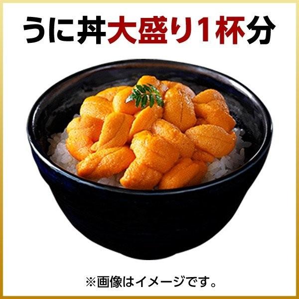 ウニ うに バフンウニ 北海道羅臼産 生エゾバフンウニ 100g 2個以上購入で送料無料ギフト 北海道 内祝 A00 021 101 島の人 礼文島の四季 北海道ギフト 通販 Yahoo ショッピング