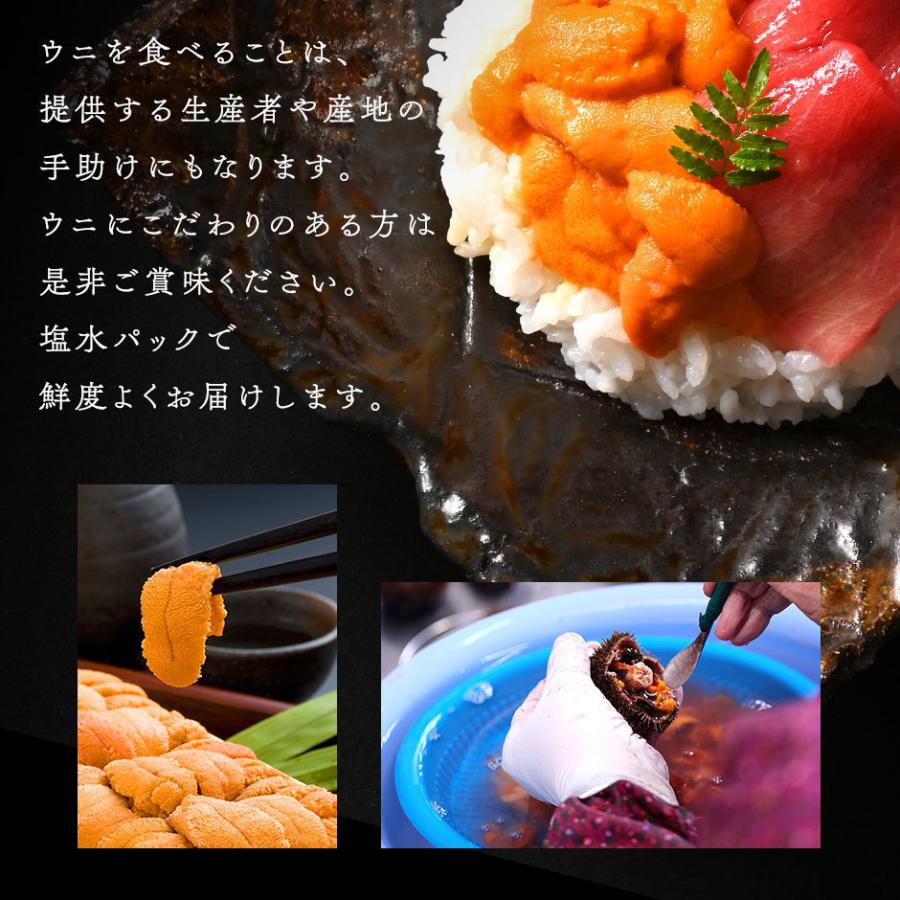 ウニ うに 生ウニ 生うに 雲丹 島の人 北方四島産 ロシア産 生エゾバフンウニ 90g 塩水パック 無添加 塩水 バフンウニ グルメ 北海道 食品 A00 島の人 礼文島の四季 北海道ギフト 通販 Yahoo ショッピング