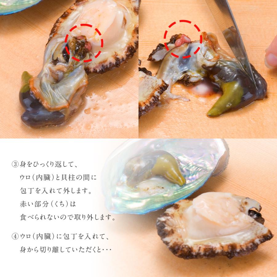 礼文 利尻島産 活エゾアワビ S Mサイズ 300g 4 5個 送料無料 北海道 お土産 お取り寄せ ギフト あわび アワビ 貝 活 A00 040 島の人 礼文島の四季 北海道ギフト 通販 Yahoo ショッピング