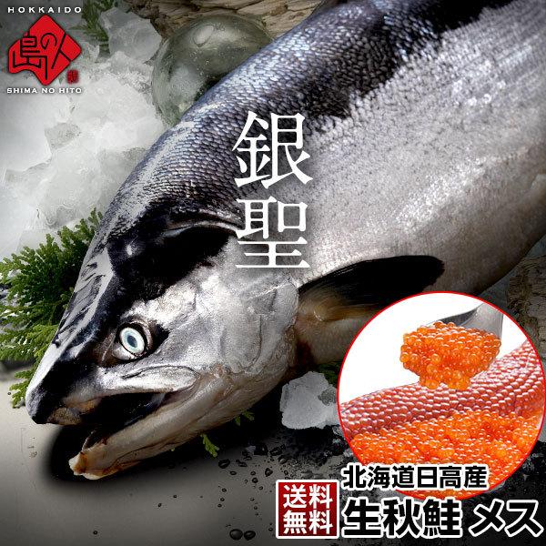 生秋鮭『銀聖』(北海道日高産) 秋 お取り寄せ サケ シャケ メス 大3.5〜3.8kg 送料無料 ギフト プレゼント用 北海道 内祝｜rebun