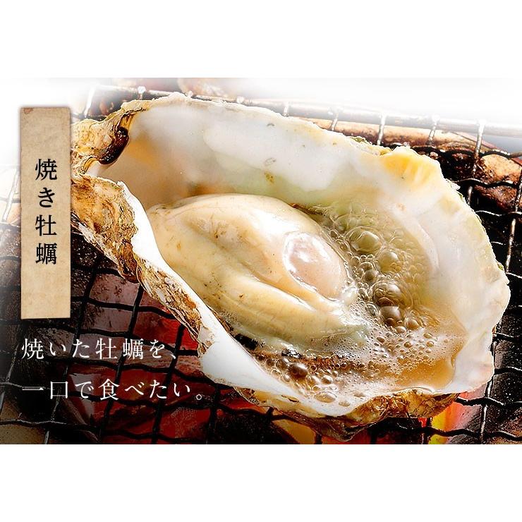 島の人 牡蠣 かき カキ 鍋 北海道 厚岸産 生牡蠣 まるえもん 殻