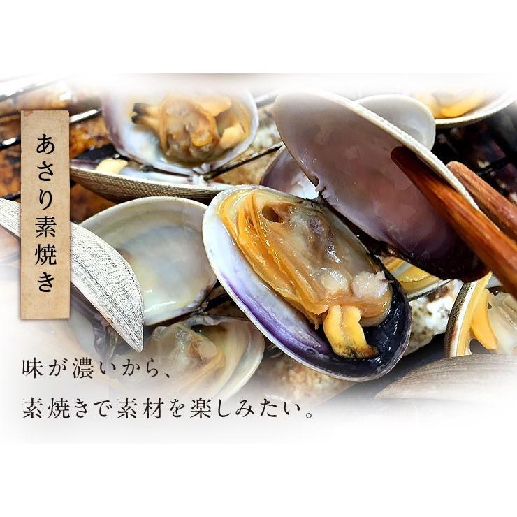 島の人 あさり アサリ 北海道 純・厚岸産 殻付 特大サイズ 800g あさり