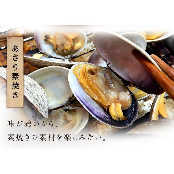 島の人 あさりえもん 北海道 厚岸産 殻付 大サイズ 1.0kg 殻付あさり