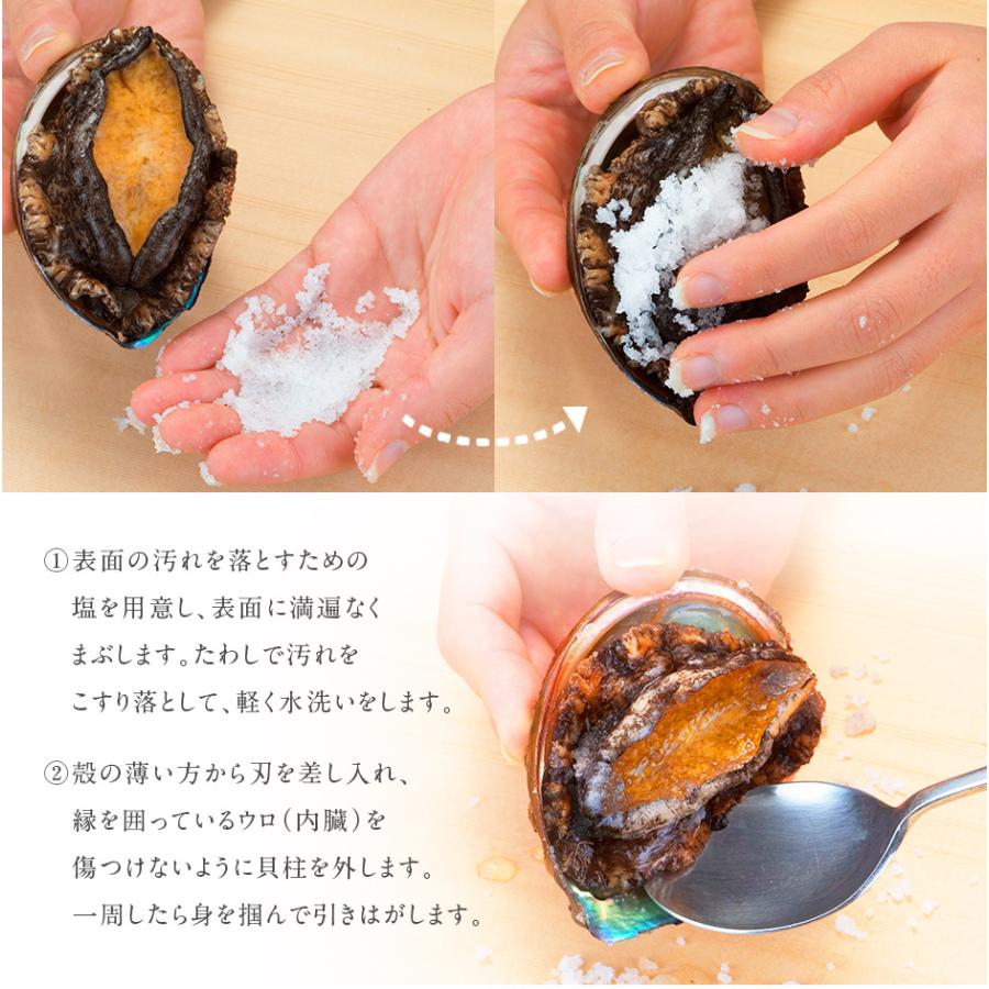 あわび 鮑 アワビ 礼文 利尻島産天然凍結アワビ L Llサイズ 1個 ギフト 北海道 食品 貝 海鮮 お土産 お取り寄せ プレゼント お返し 贈答 A10 島の人 通販 Yahoo ショッピング