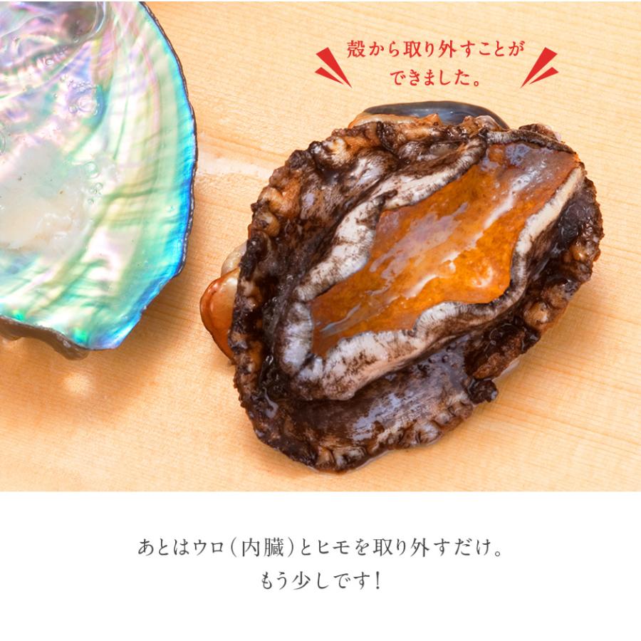 島の人 あわび 鮑 礼文 利尻島産 天然 凍結アワビ L-LLサイズ 3個 貝