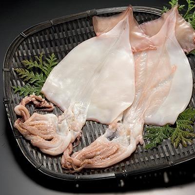 イカの一夜干し 10枚 小サイズ 島の人 送料無料 いか イカ 干物 一夜干し お取り寄せグルメ 海鮮 肉厚 冷凍_1