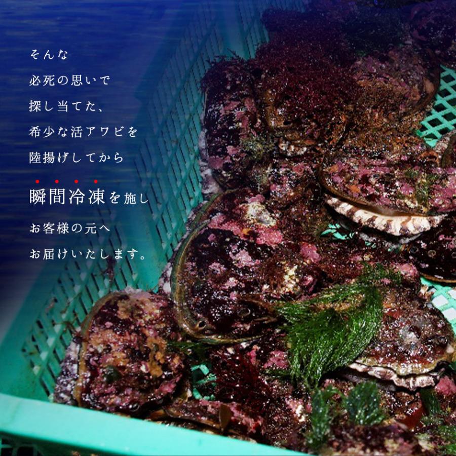 島の人 礼文・利尻島産天然凍結アワビ Sサイズ×5個 送料無料 鮮度