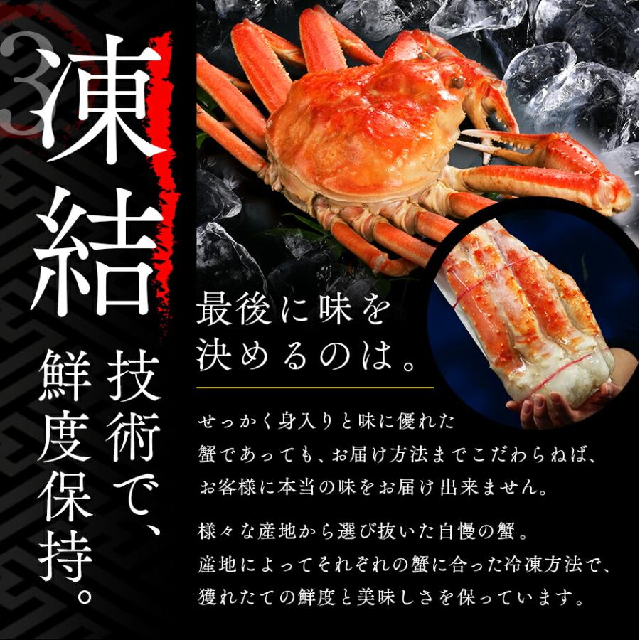 専用出品　蟹様 22_kaniintro_02.jpg