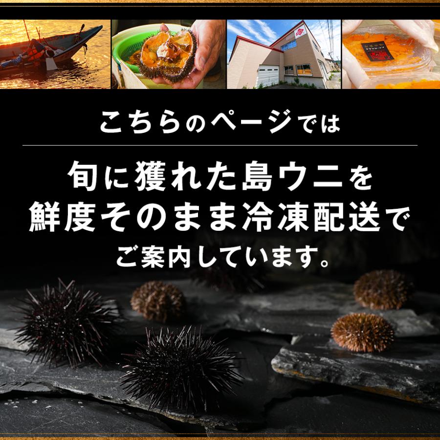 ウニ うに 雲丹 北海道 礼文 利尻島産 旬凍 エゾバフンウニ キタムラサキウニ 食べ比べセット お刺身 海鮮 海鮮丼 ギフト 食品 高級 冷凍｜rebun｜02