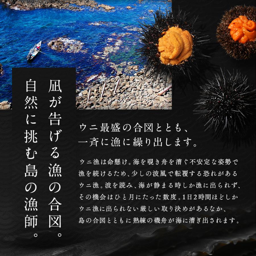 ウニ うに 雲丹 北海道 礼文 利尻島産 旬凍 エゾバフンウニ キタムラサキウニ 食べ比べセット お刺身 海鮮 海鮮丼 ギフト 食品 高級 冷凍 | 島の人 | 08