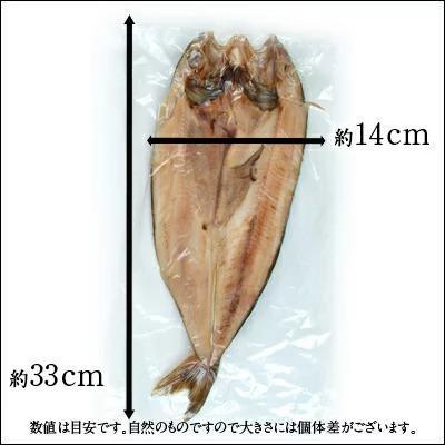 北海道 礼文島産 紅法華(べにほっけ) ほっけ開き 200-290g 5尾セット 【送料無料】ふっくら柔らか昆布干物｜rebun｜15