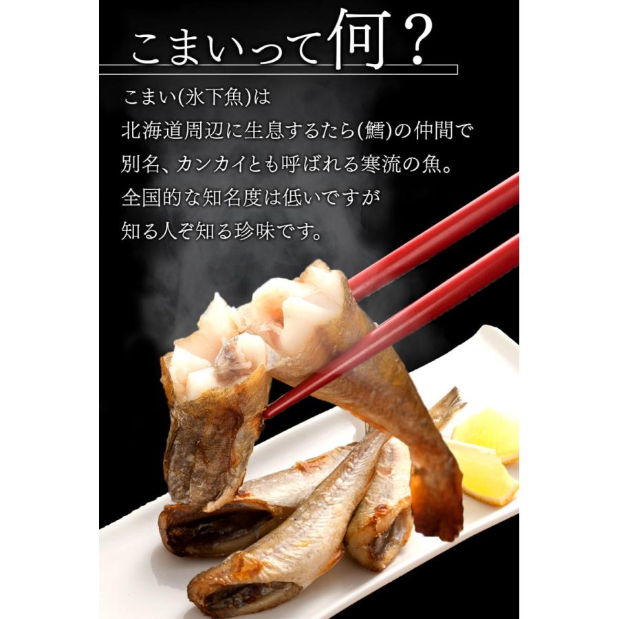 北海道産 こまい かんかい 生干し昆布干物 1 0kg 500g 2 送料無料 氷下魚 コマイ A80 島の人 礼文島の四季 北海道ギフト 通販 Yahoo ショッピング