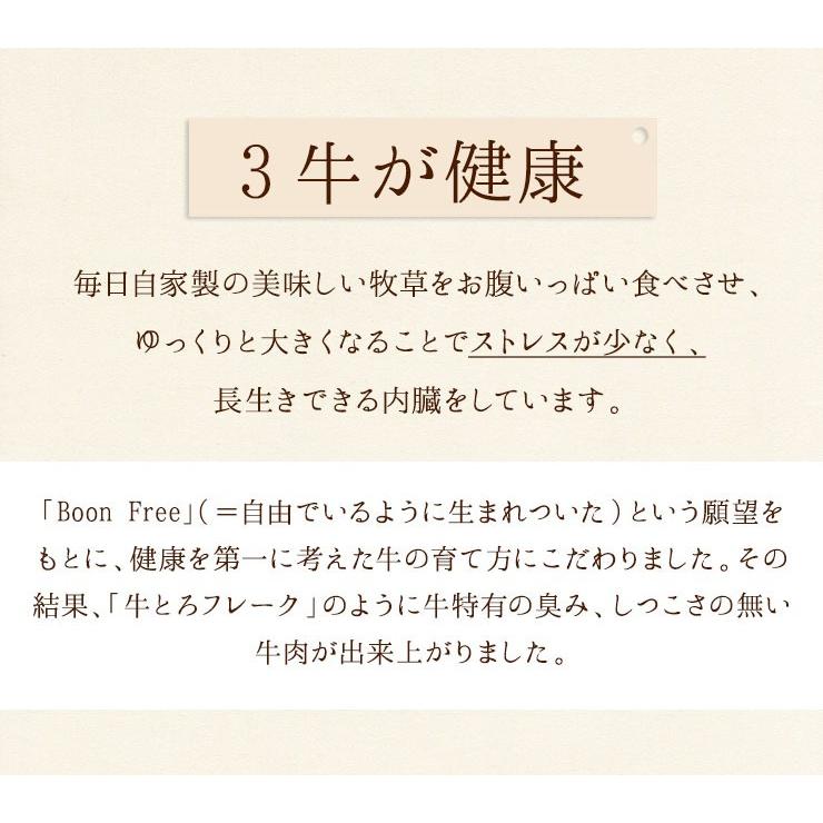 お取り寄せグルメ 牛とろフレーク 十勝スロウフード 360g 180g×2 島の人 ご飯のお供 和牛 北海道｜rebun｜07