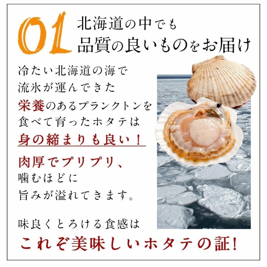 ほたて貝柱 ほたて お取り寄せグルメ 訳あり ホタテ 500g （250g×2） 貝柱 島の人 北海道産 お取り寄せ 刺身用 ご自宅用 帆立 | 島の人 | 01