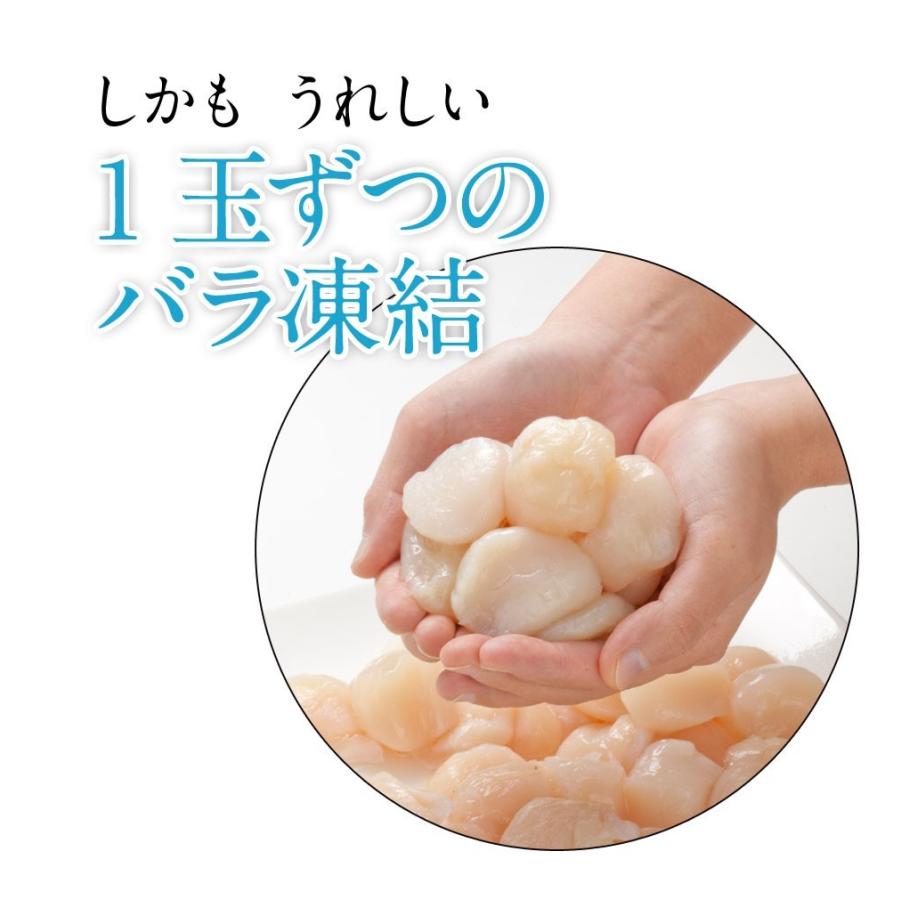 ほたて貝柱 ほたて お取り寄せグルメ 訳あり ホタテ 500g （250g×2） 貝柱 島の人 北海道産 お取り寄せ 刺身用 ご自宅用 帆立 | 島の人 | 03