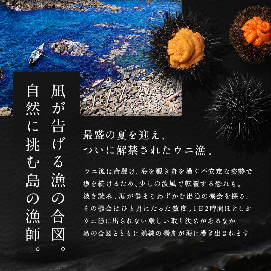 うに ウニ 雲丹 塩水 キタムラサキウニ 270g 北海道 礼文 利尻島産 塩水パック ギフト 海鮮 寿司 贈り物 お取り寄せ グルメ 高級 内祝い グルメ 【時間】