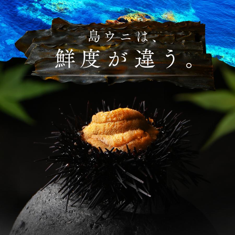 うに ウニ 雲丹 塩水 キタムラサキウニ 270g 北海道 礼文 利尻島産 塩水パック ギフト 海鮮 寿司 贈り物 お取り寄せ グルメ 高級 内祝い グルメ 【時間】