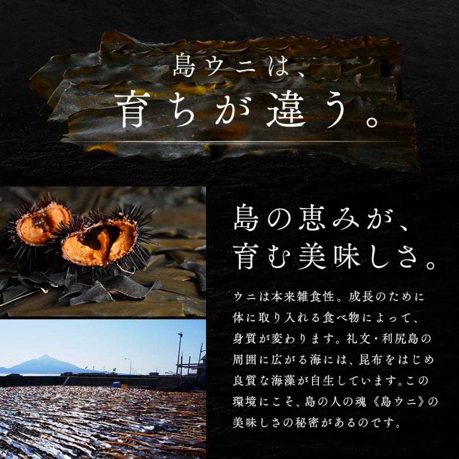 うに ウニ 雲丹 塩水 キタムラサキウニ 270g 北海道 礼文 利尻島産 塩水パック ギフト 海鮮 寿司 贈り物 お取り寄せ グルメ 高級 内祝い グルメ 【時間】