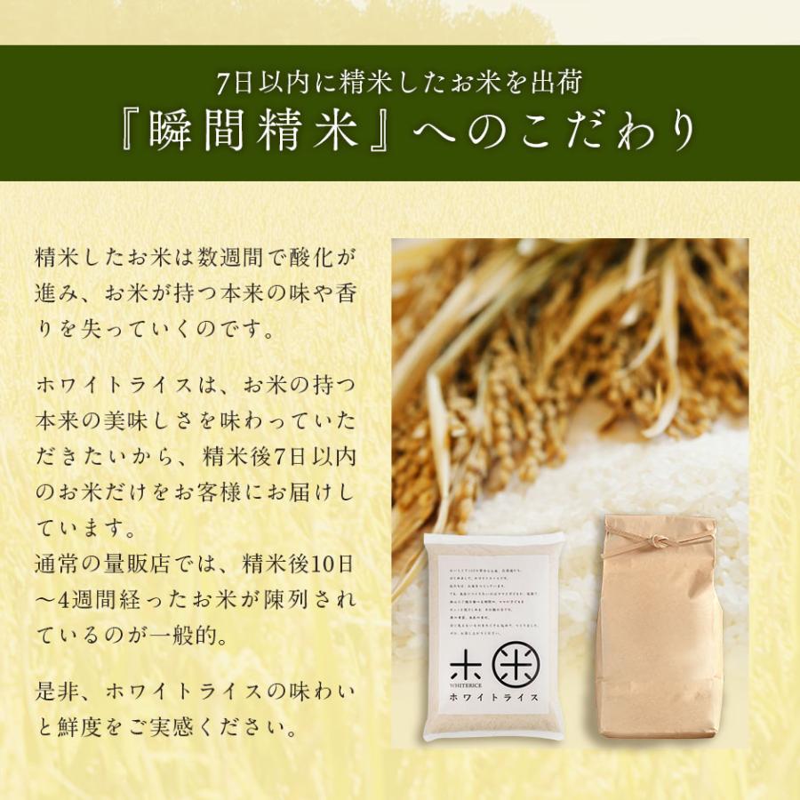 令和5年度 ななつぼし 2kg 米 お米 北海道産 選べる精米方法 無洗米 白米 玄米 放射能検査済｜rebun｜04