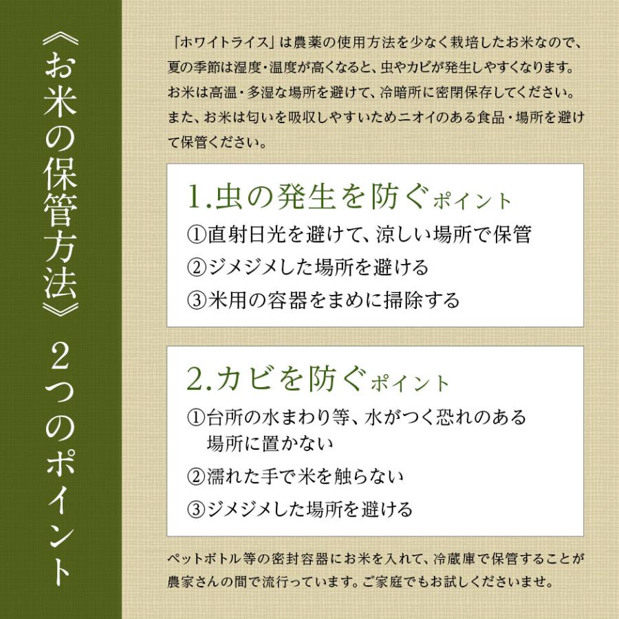 令和5年度 ななつぼし 米10kg 米 お米 北海道産 選べる精米方法 無洗米 白米 玄米 放射能検査済｜rebun｜07