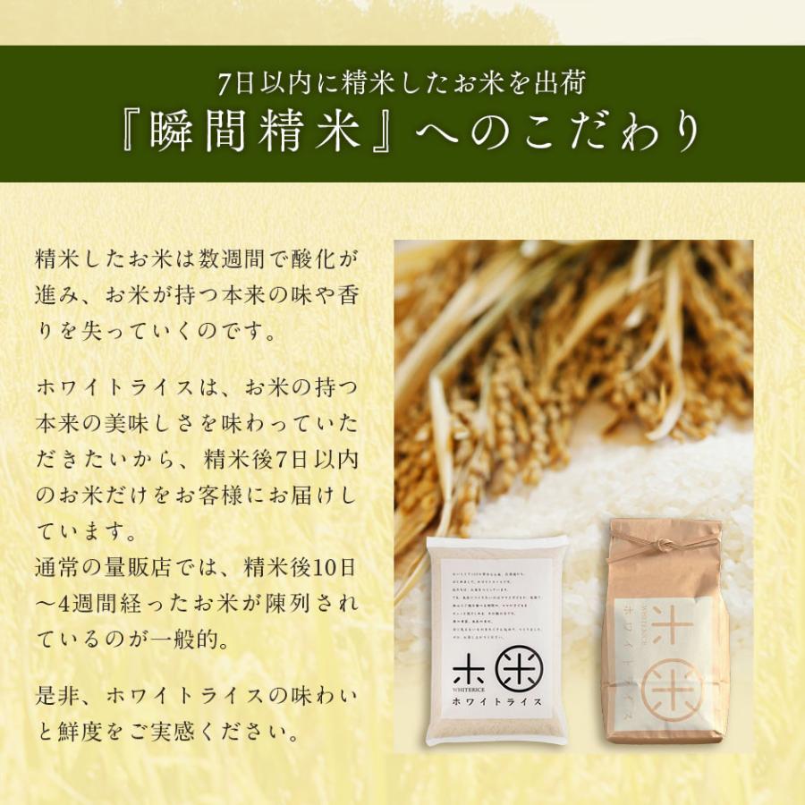 島の人 令和7年産 米 おぼろづき 玄米 5kg お米 北海道産 選べる精米 