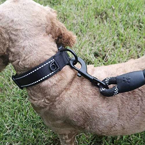 Recca ペット ドッグ 散歩 犬用品 犬の首輪 リード セット全3種類 Rccpet004 Recca Trade 通販 Yahoo ショッピング